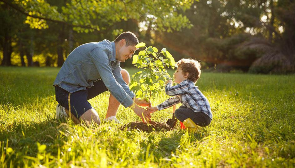 A man and a young boy are kneeling in the grass together, planting a small tree sapling